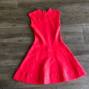 Ted Baker dress/ worn once